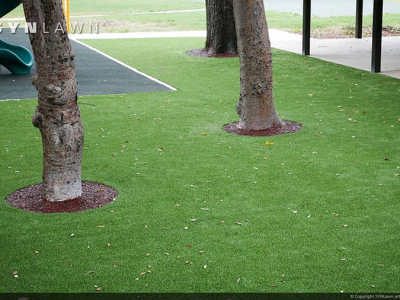 SYNLawn-artificial-grass-commercial-public-park-with-tree-root-zone-1