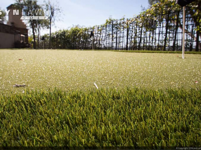 SYNLawn-artificial-grass-golf-back-yard-putting-green-fringe