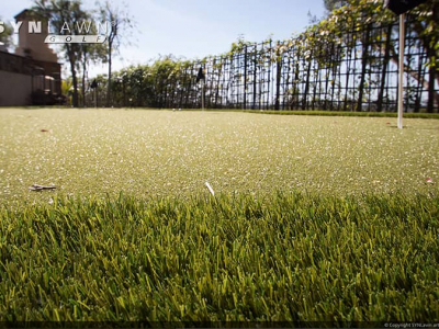 SYNLawn-artificial-grass-golf-back-yard-putting-green-fringe