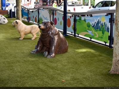 SYNLawn-artificial-grass-pets-city-dog-walk-park