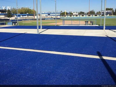 Track-Turf-Body-Pic-1